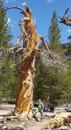 20190807_104719_006
