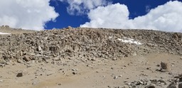 20190808_104950_028
