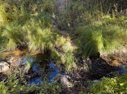 IMG_0736 2