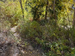 IMG_0738 2