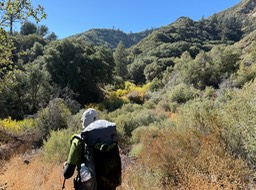 IMG_0742 2