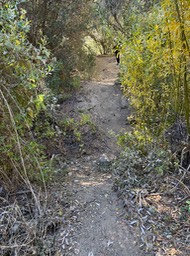 IMG_0747a 2