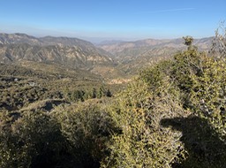 IMG_0756 2