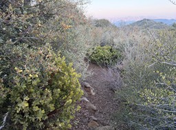 IMG_0762 2