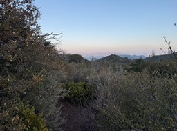 IMG_0763 2