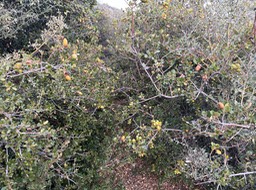 IMG_0765 2