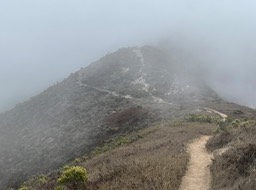 IMG_4296