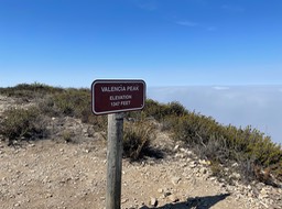 IMG_4297
