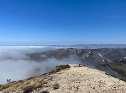 IMG_4303