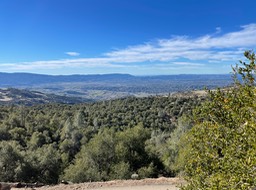 IMG_4683