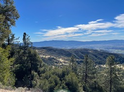 IMG_4706