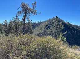 IMG_4765