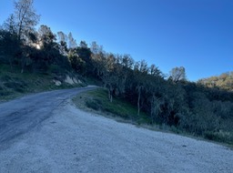 IMG_4841
