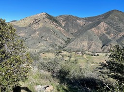 IMG_4853