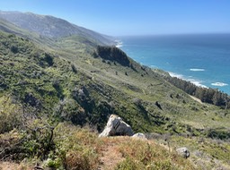 IMG_5235