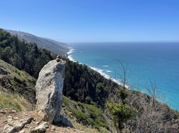 IMG_5239