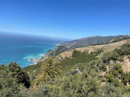 IMG_5243