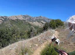 IMG_5246
