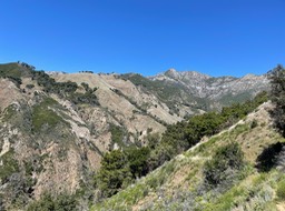 IMG_5307