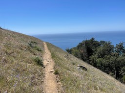 IMG_5313