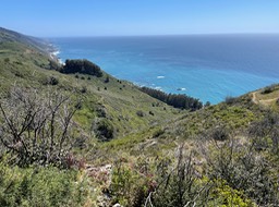 IMG_5331