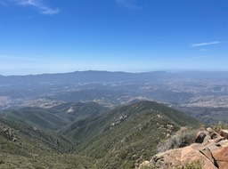 IMG_5541
