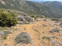IMG_5545