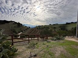 IMG_6668