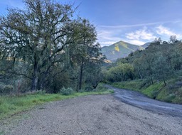 IMG_9047