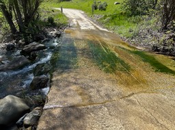 IMG_9101