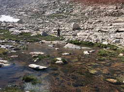 IMG_9452