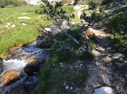 IMG_9469