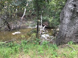 3SRCreek_10