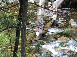 3SRCreek_11