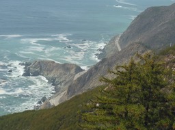 DSCN2501