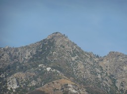 DSCN2518