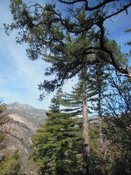 DSCN2530