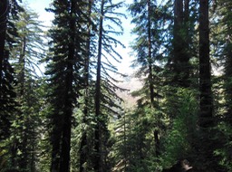 DSCN2534