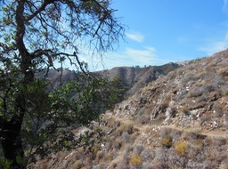 DSCN2537