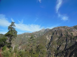 DSCN2563