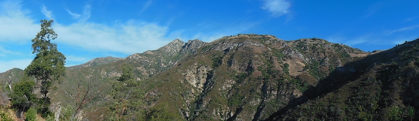 DSCN2564