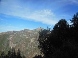 DSCN2567