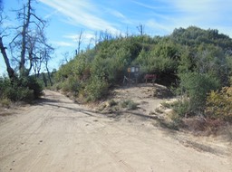 DSCN2571