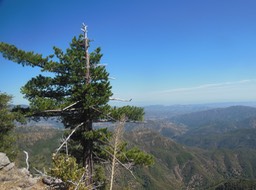 DSCN2610