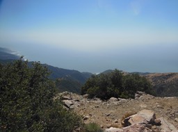 DSCN2639