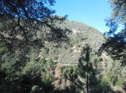 DSCN2815