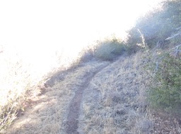 DSCN2820