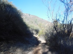 DSCN2834