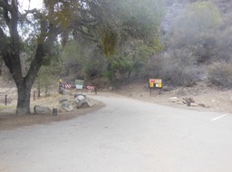 DSCN2853