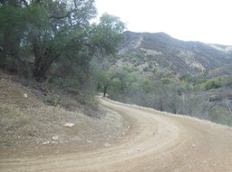 DSCN2854
